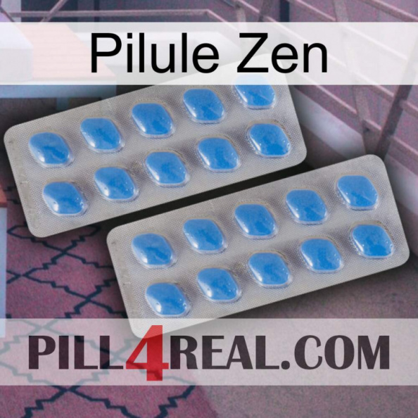 Zen Pill 23.jpg